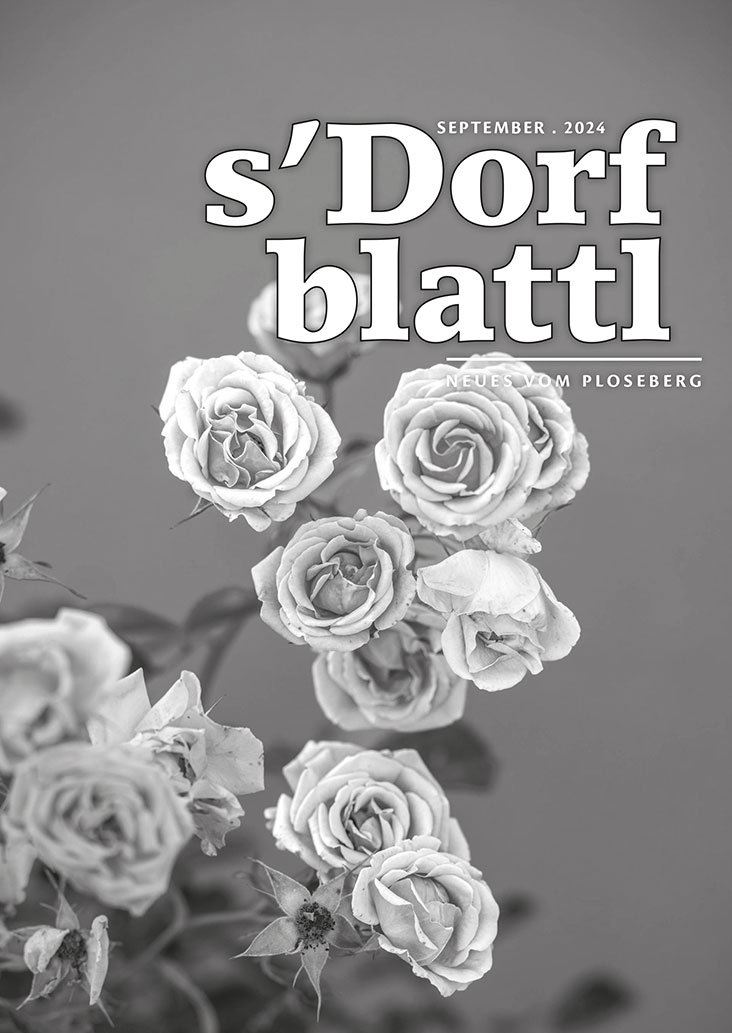 db sept