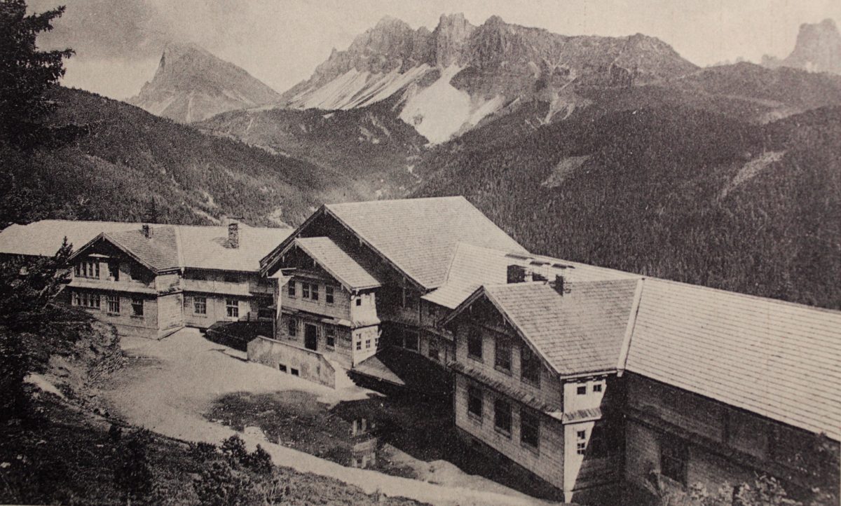 Forestis History