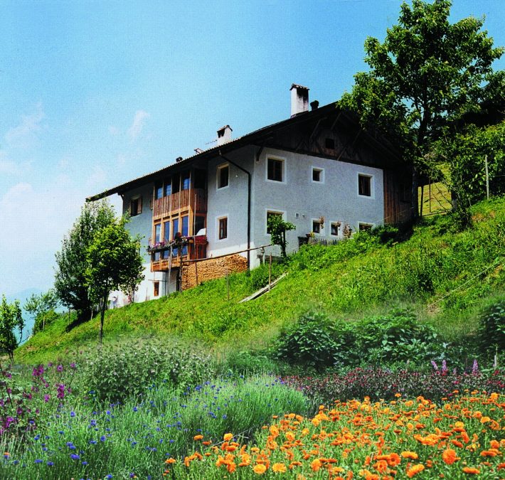 Kräuteranbau am Schmiedthof