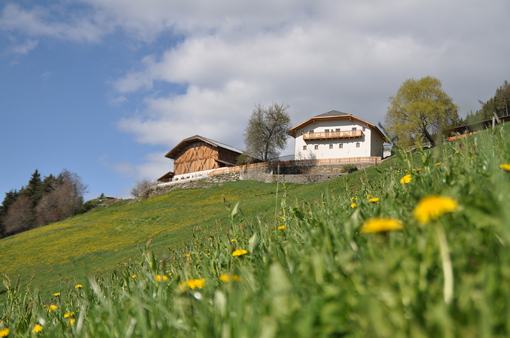 Bauernhofurlaub Platzbon