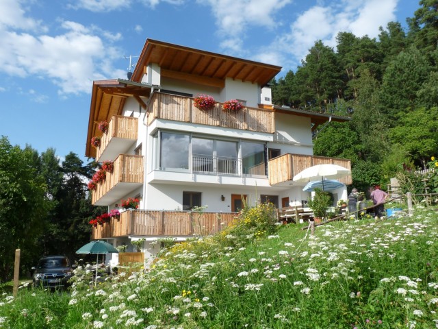 waldwies x